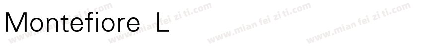 Montefiore Light字体转换